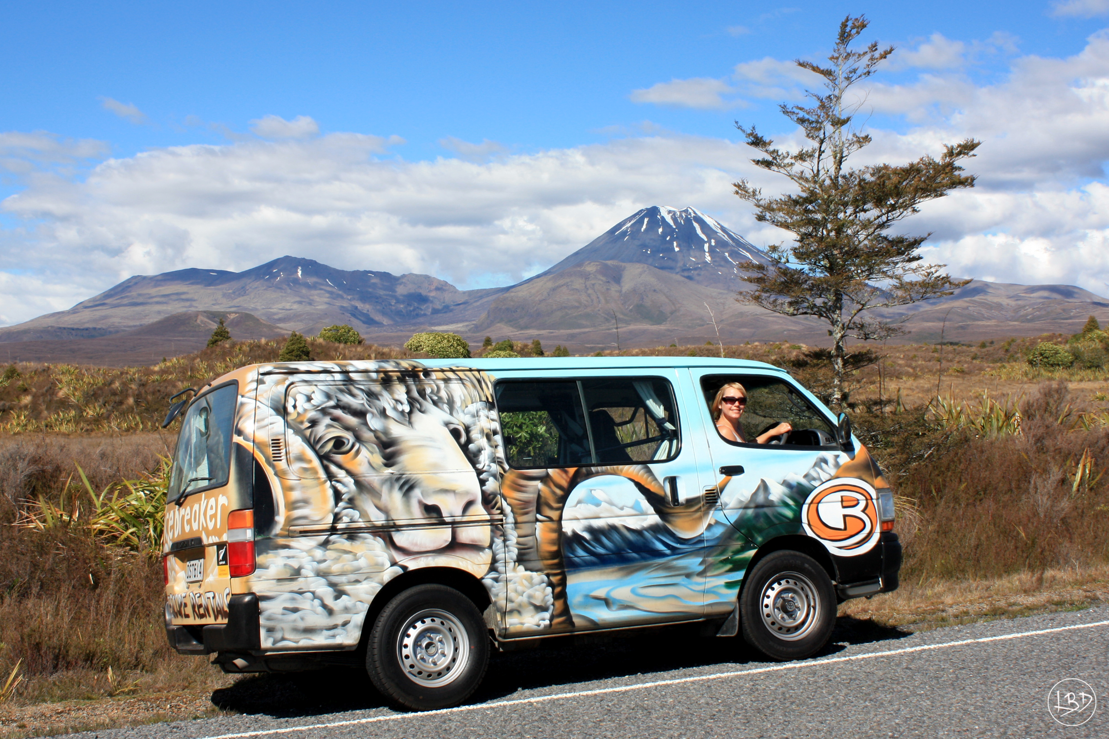 Cruisin' New Zealand