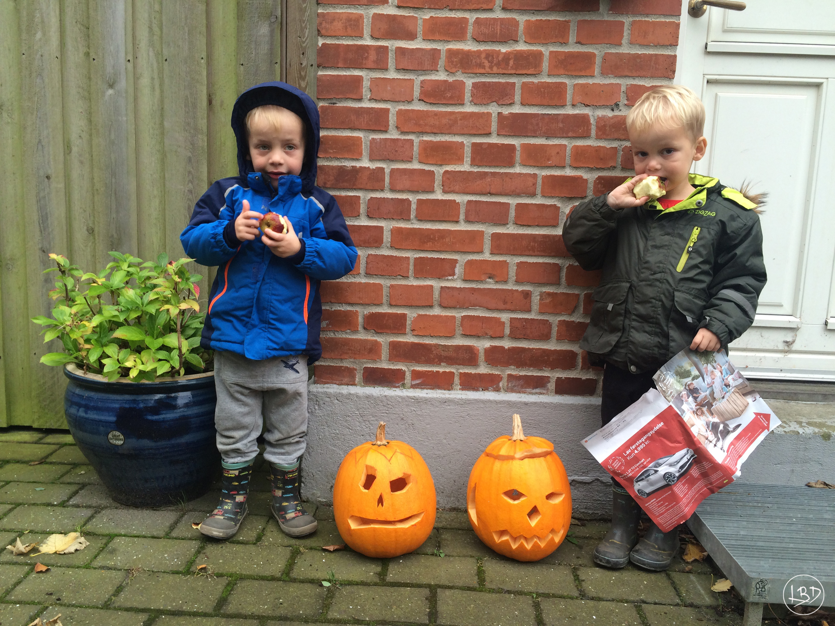 Halloween før redigering