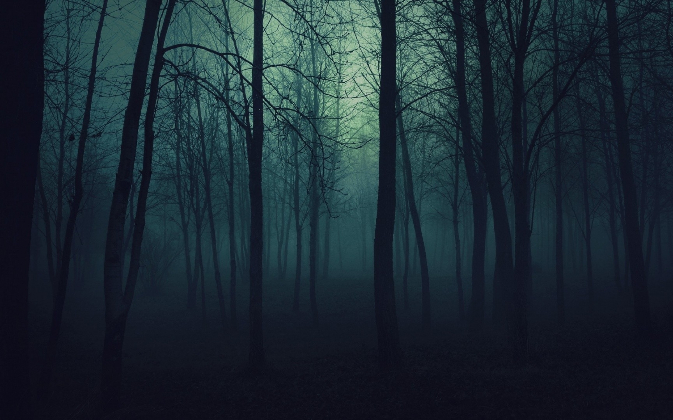 creepy_trees_dark_forest_mist_1920x1080_wallpaper_high-resolution-wallpaper_2560x1600_www-wallpaperhi-com